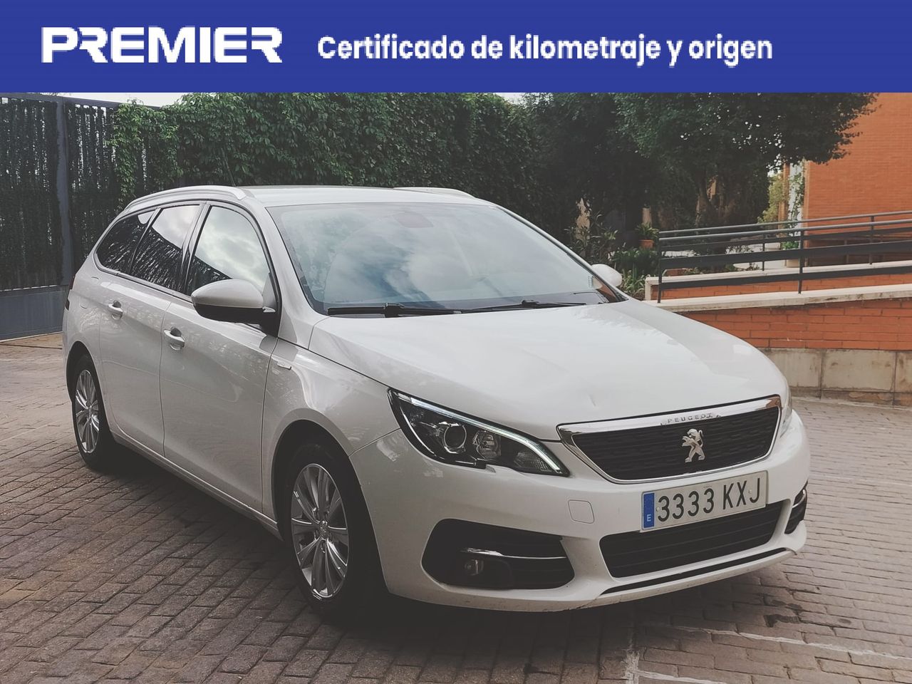 Foto Peugeot 308 SW 6