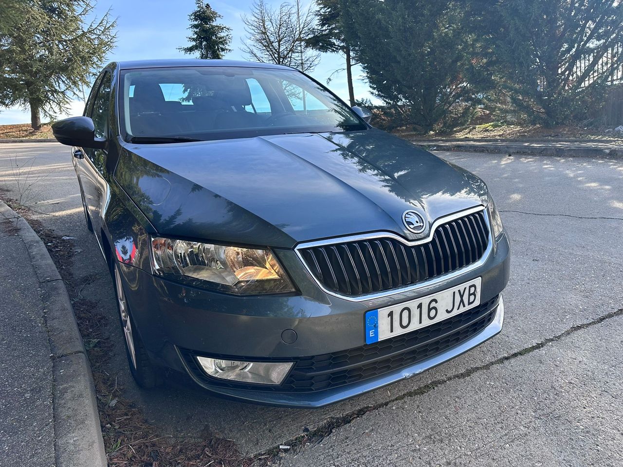 Foto Skoda Octavia 4