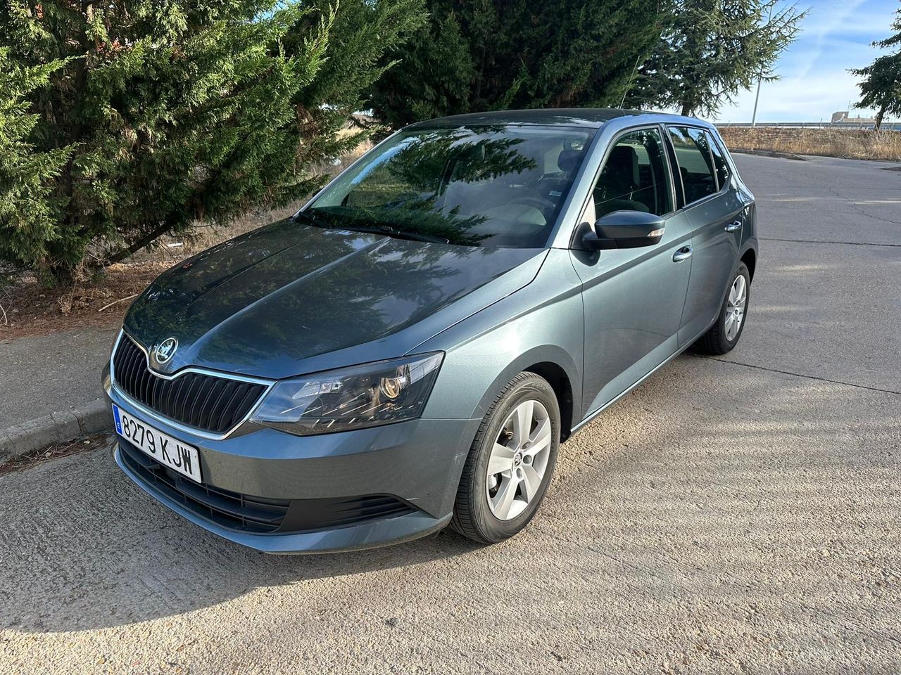 Foto Skoda Fabia 1