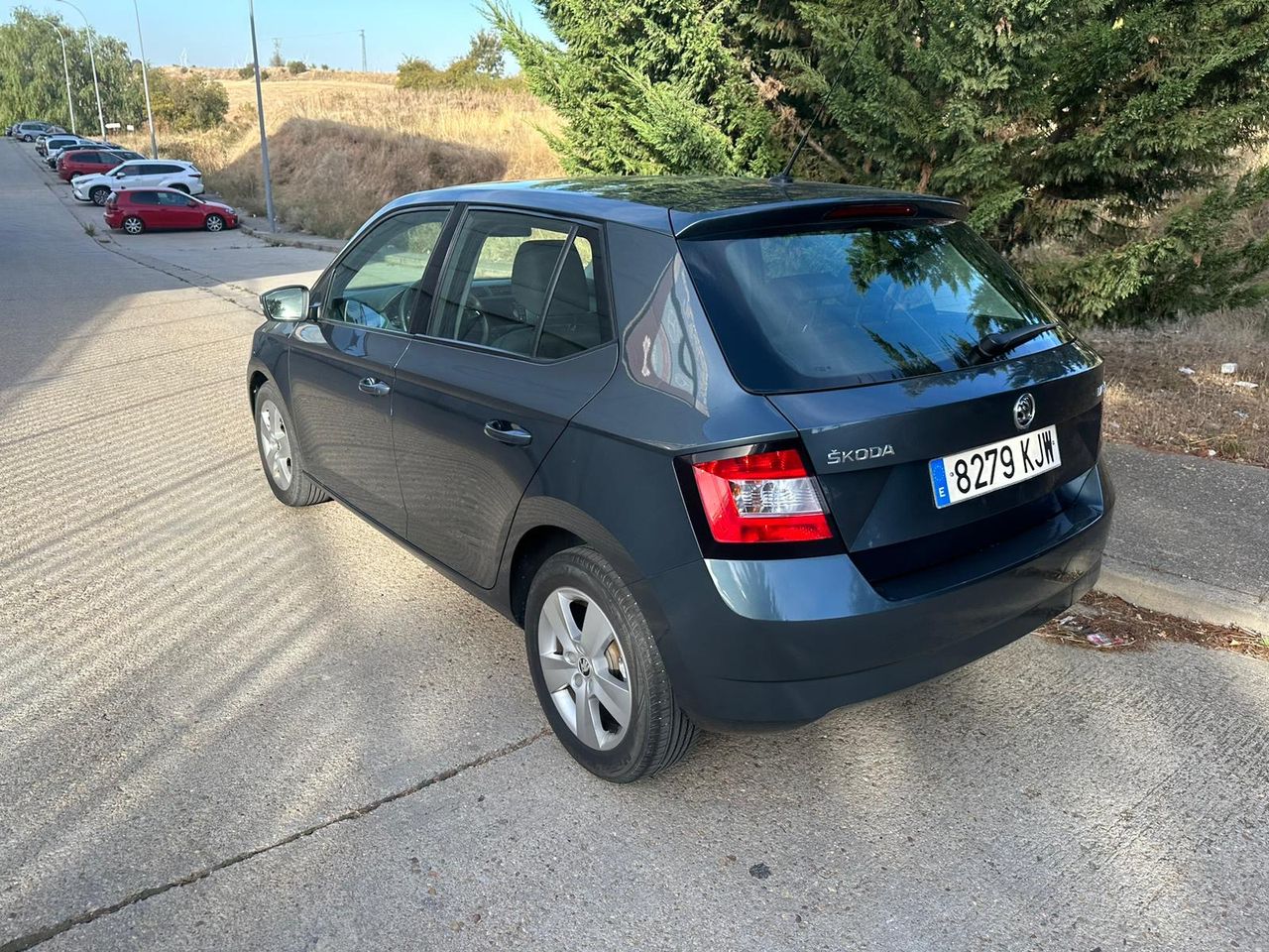 Foto Skoda Fabia 9