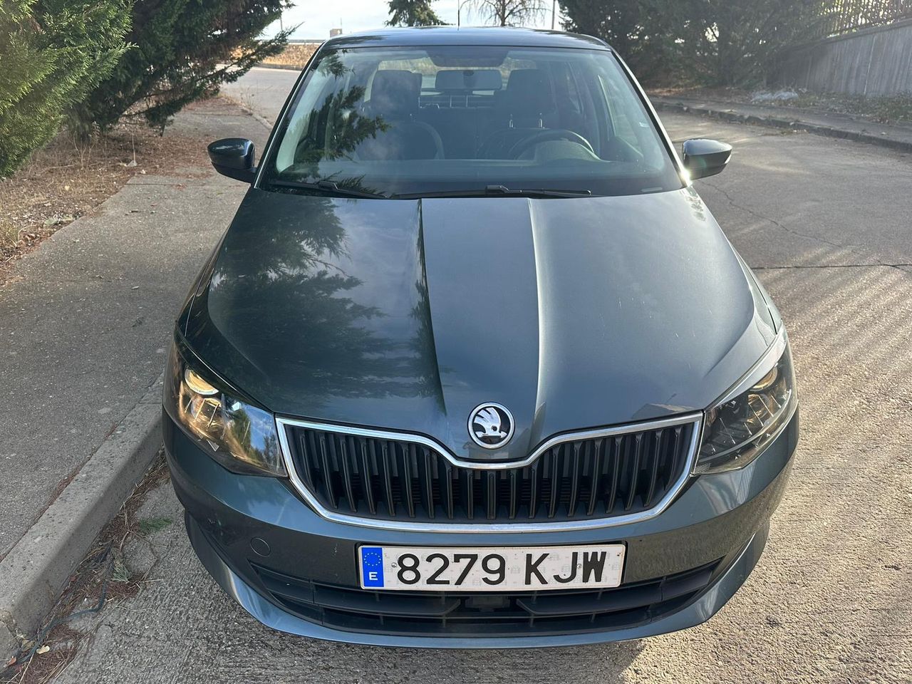 Foto Skoda Fabia 14