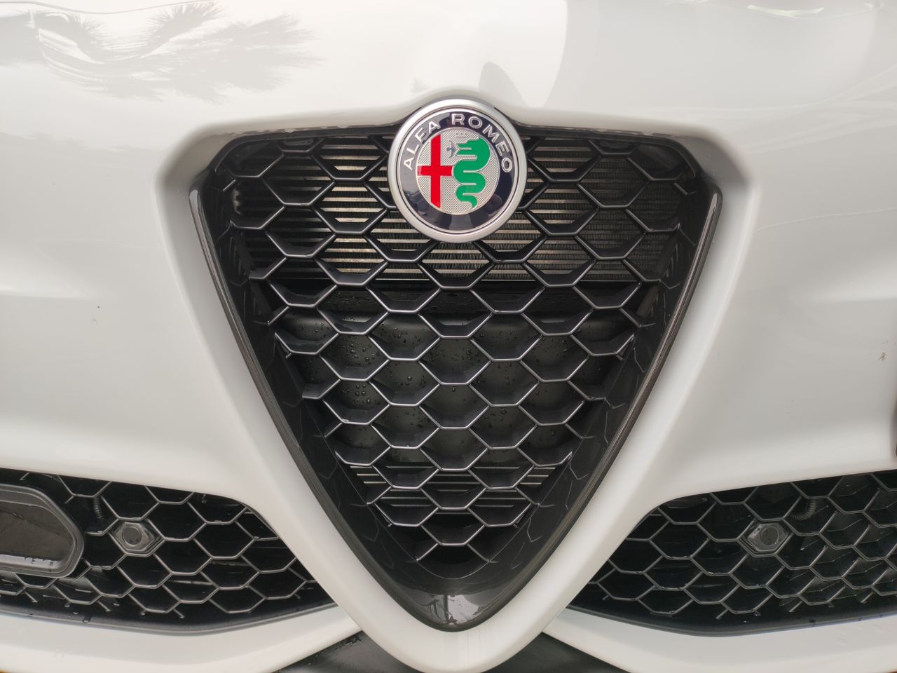 Foto Alfa Romeo Giulia 33