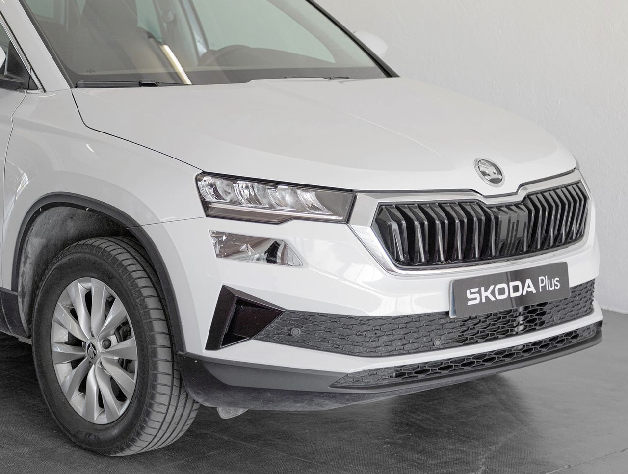 Foto Skoda Karoq 15