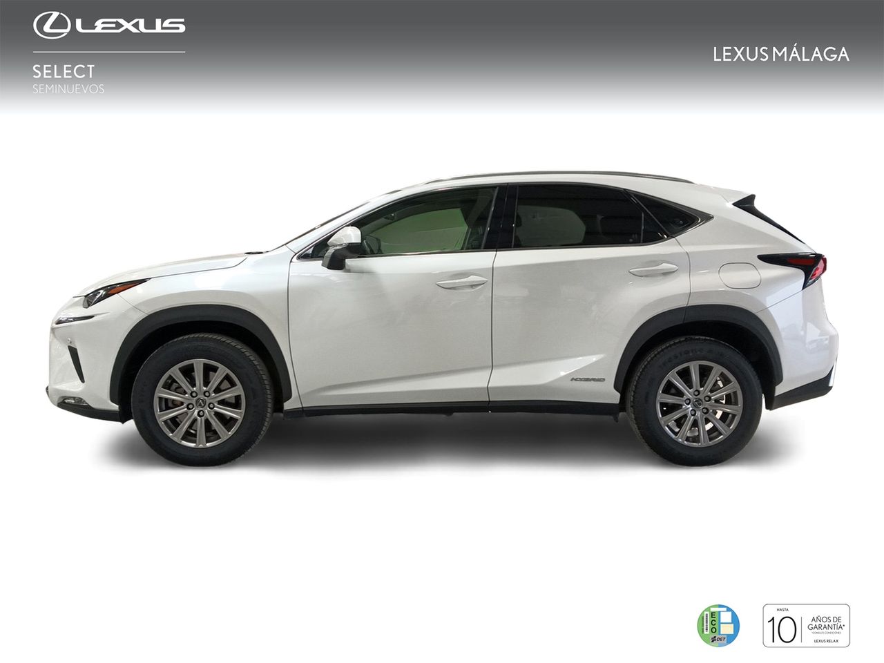 Foto Lexus NX 3