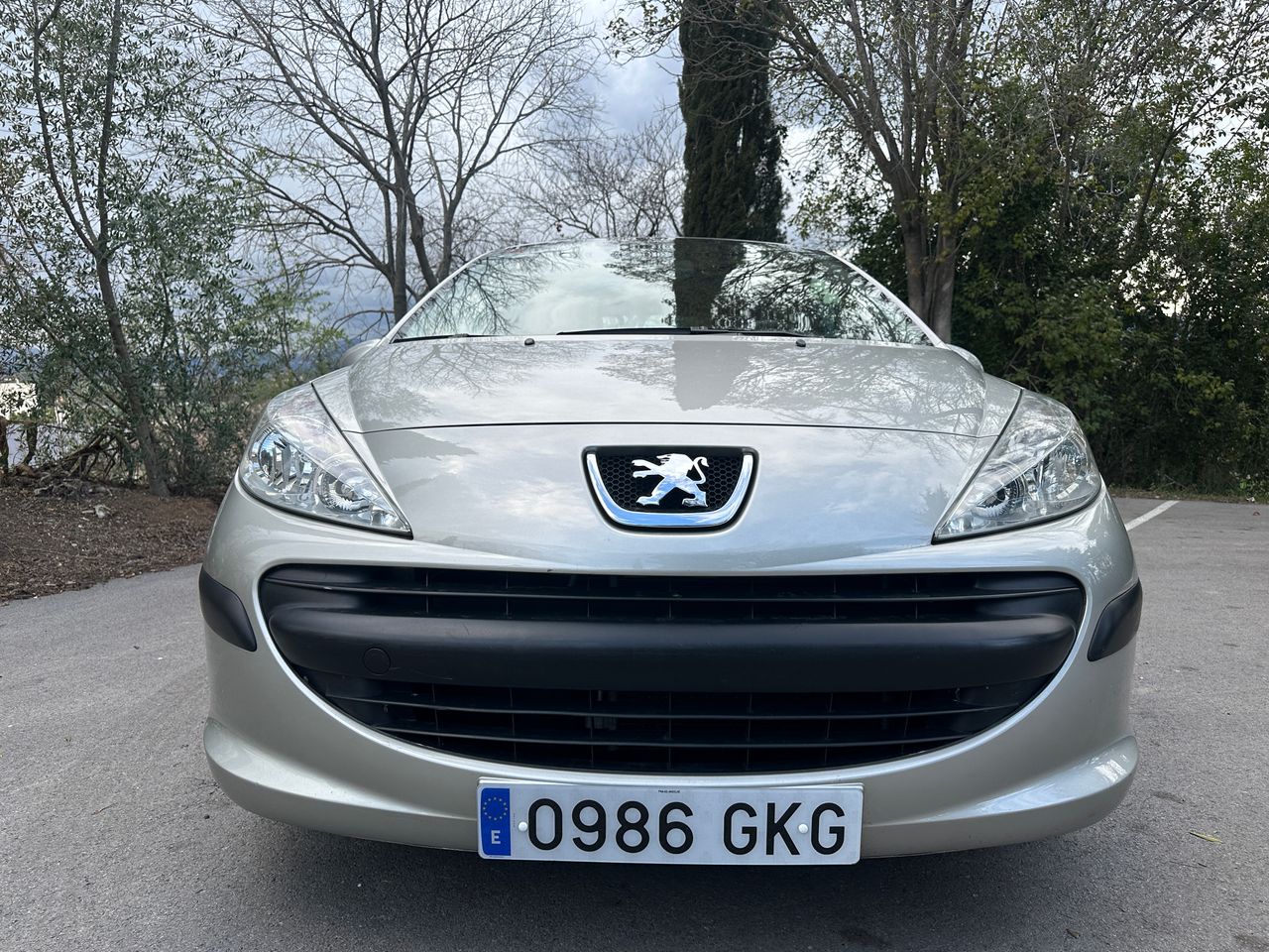 Foto Peugeot 207 5