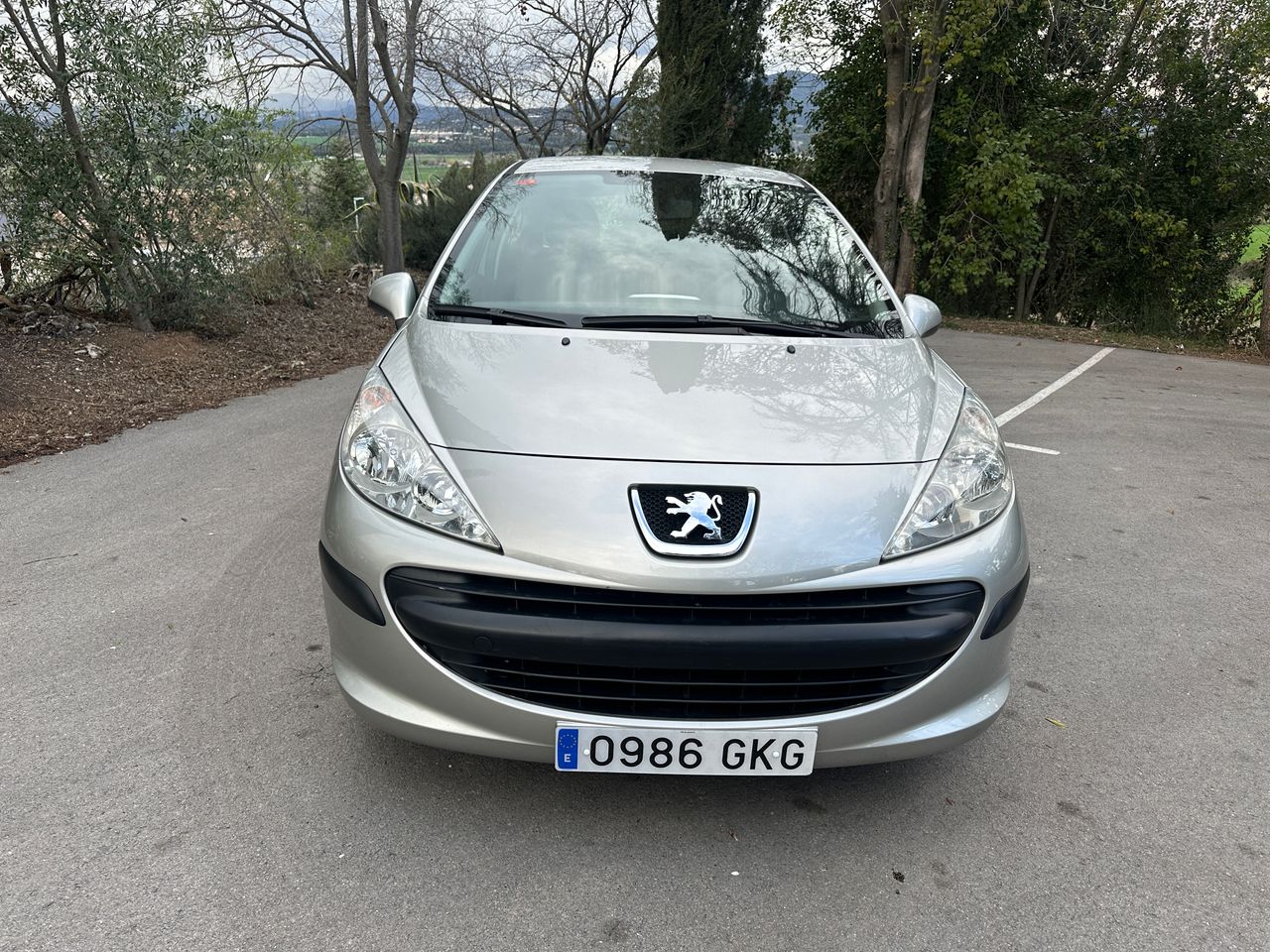 Foto Peugeot 207 13