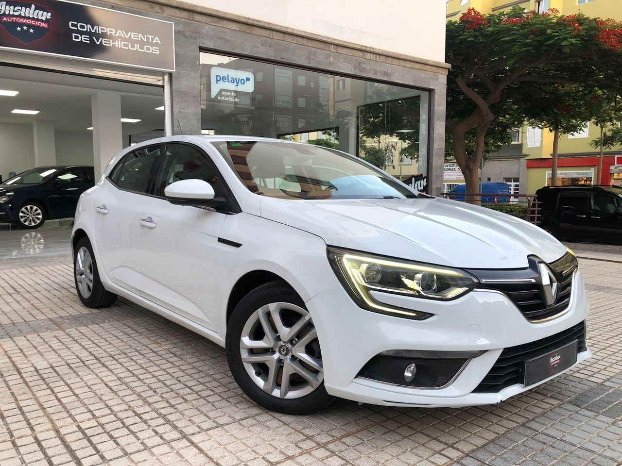 Foto Renault Mégane 1