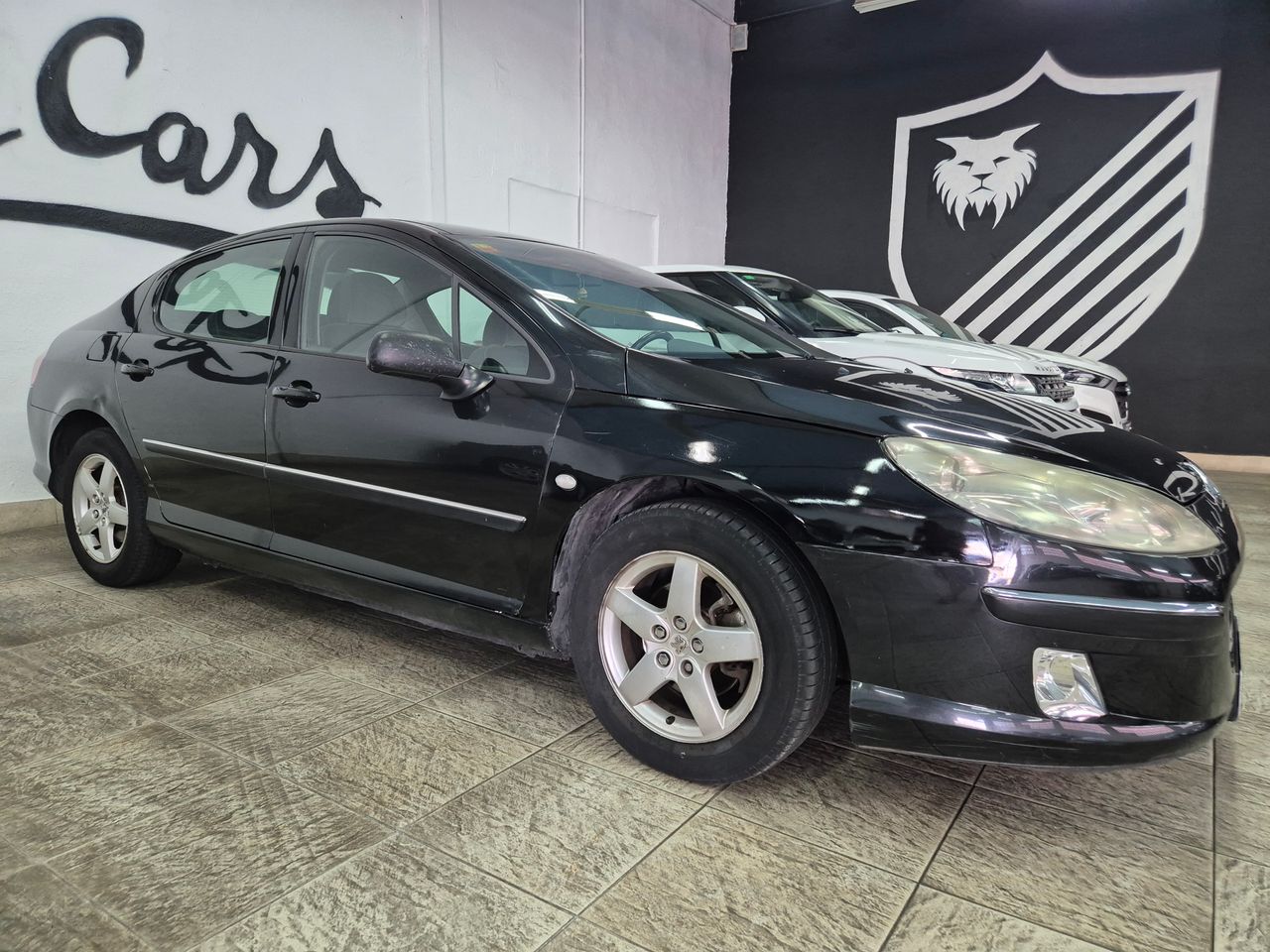 Foto Peugeot 407 3