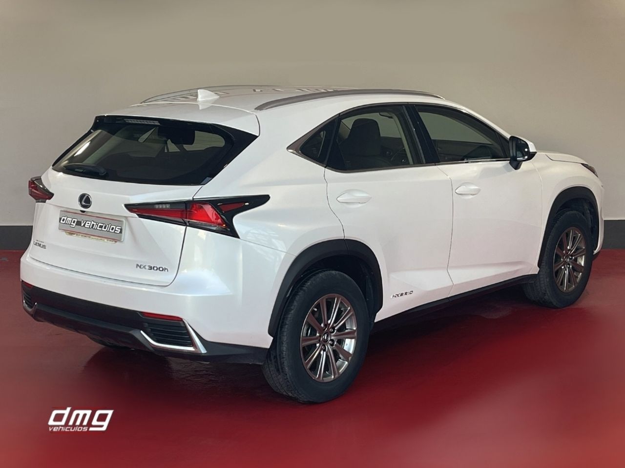 Foto Lexus NX 5