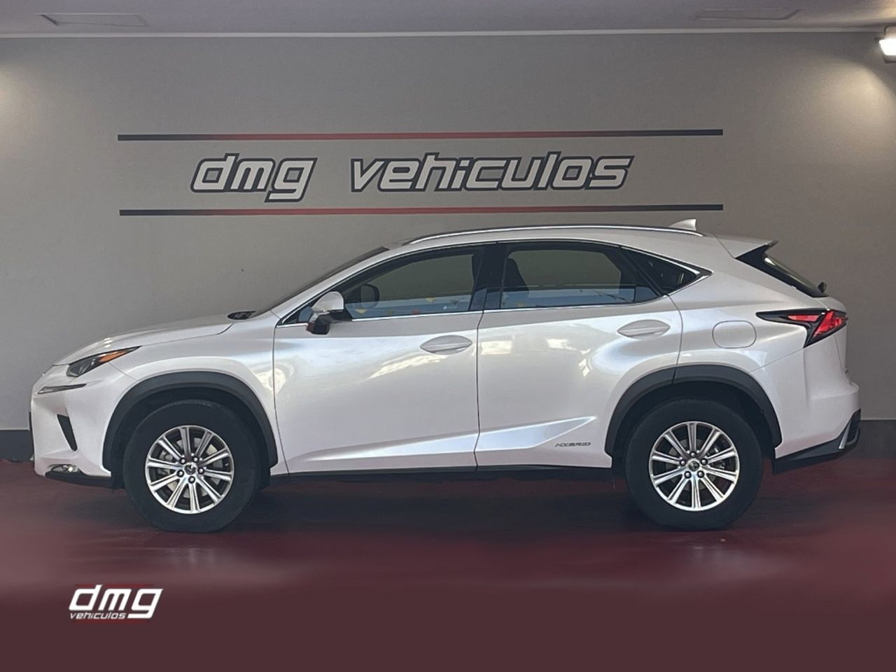 Foto Lexus NX 6