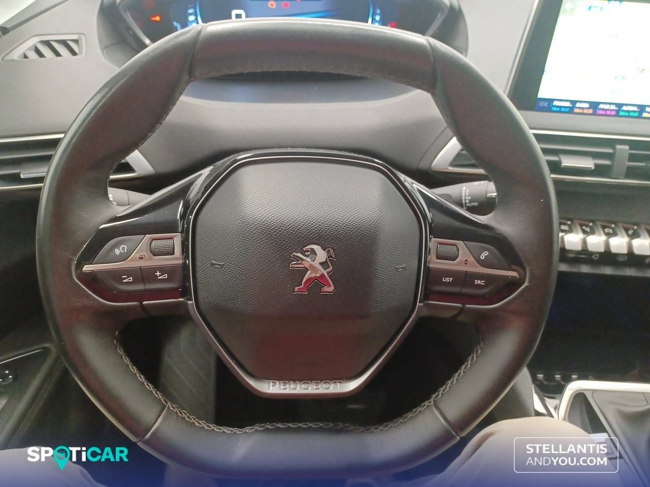 Foto Peugeot 3008 16