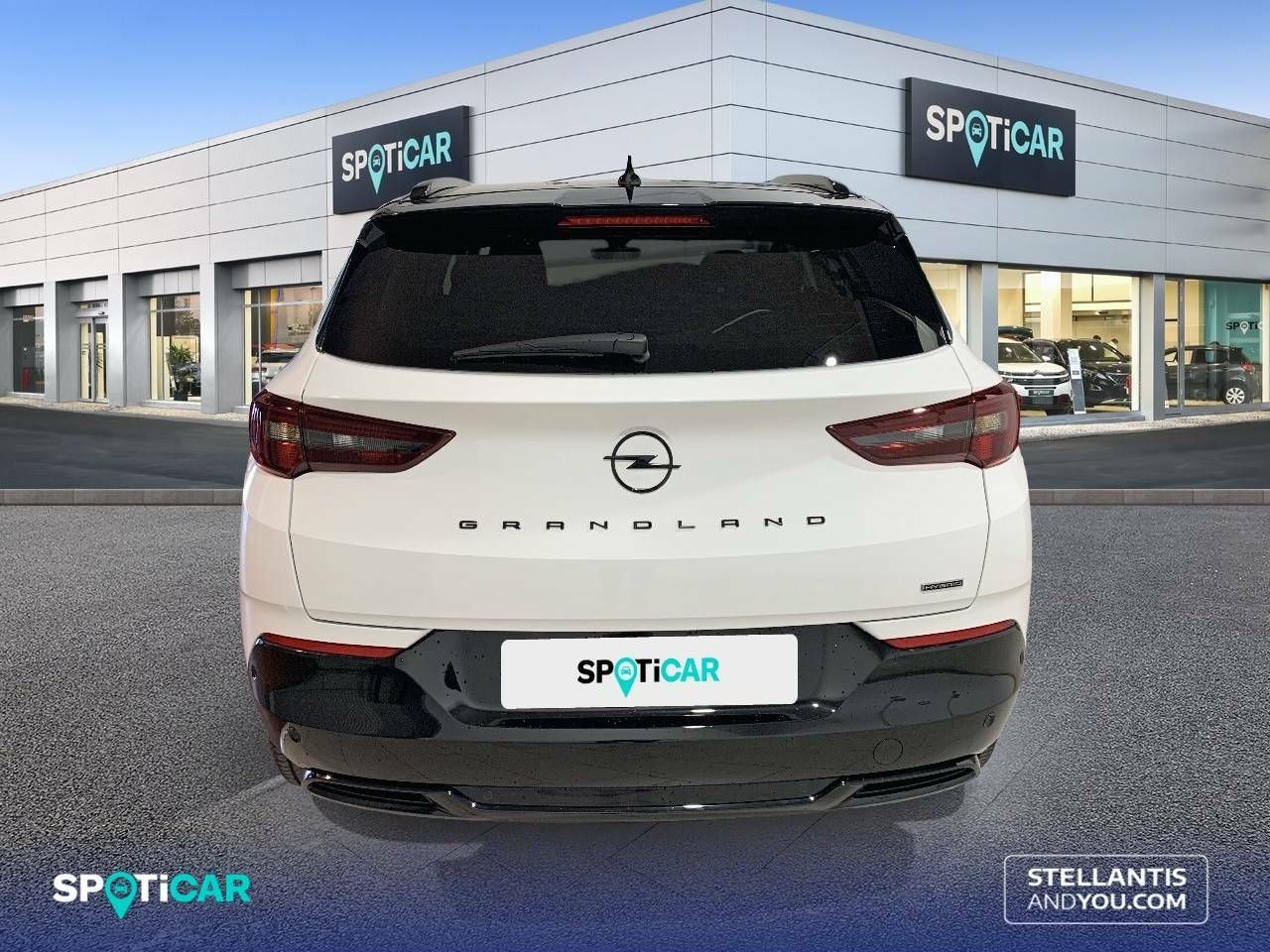 Foto Opel Grandland X 7