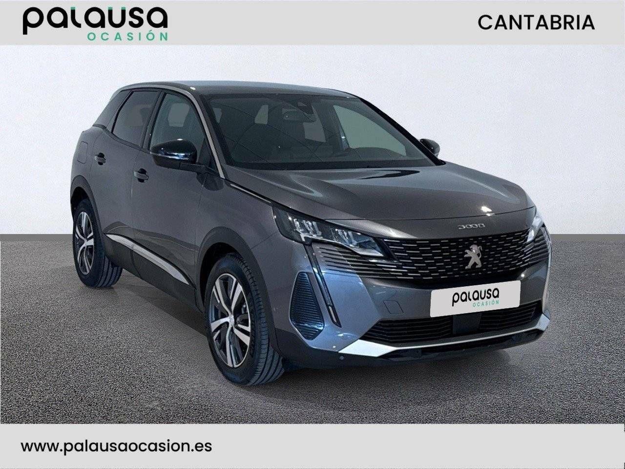 Foto Peugeot 3008 3