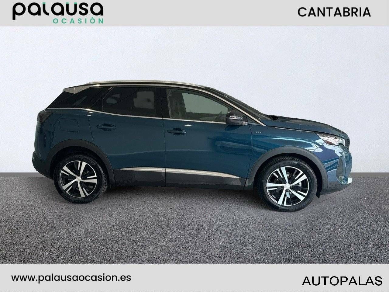 Foto Peugeot 3008 4