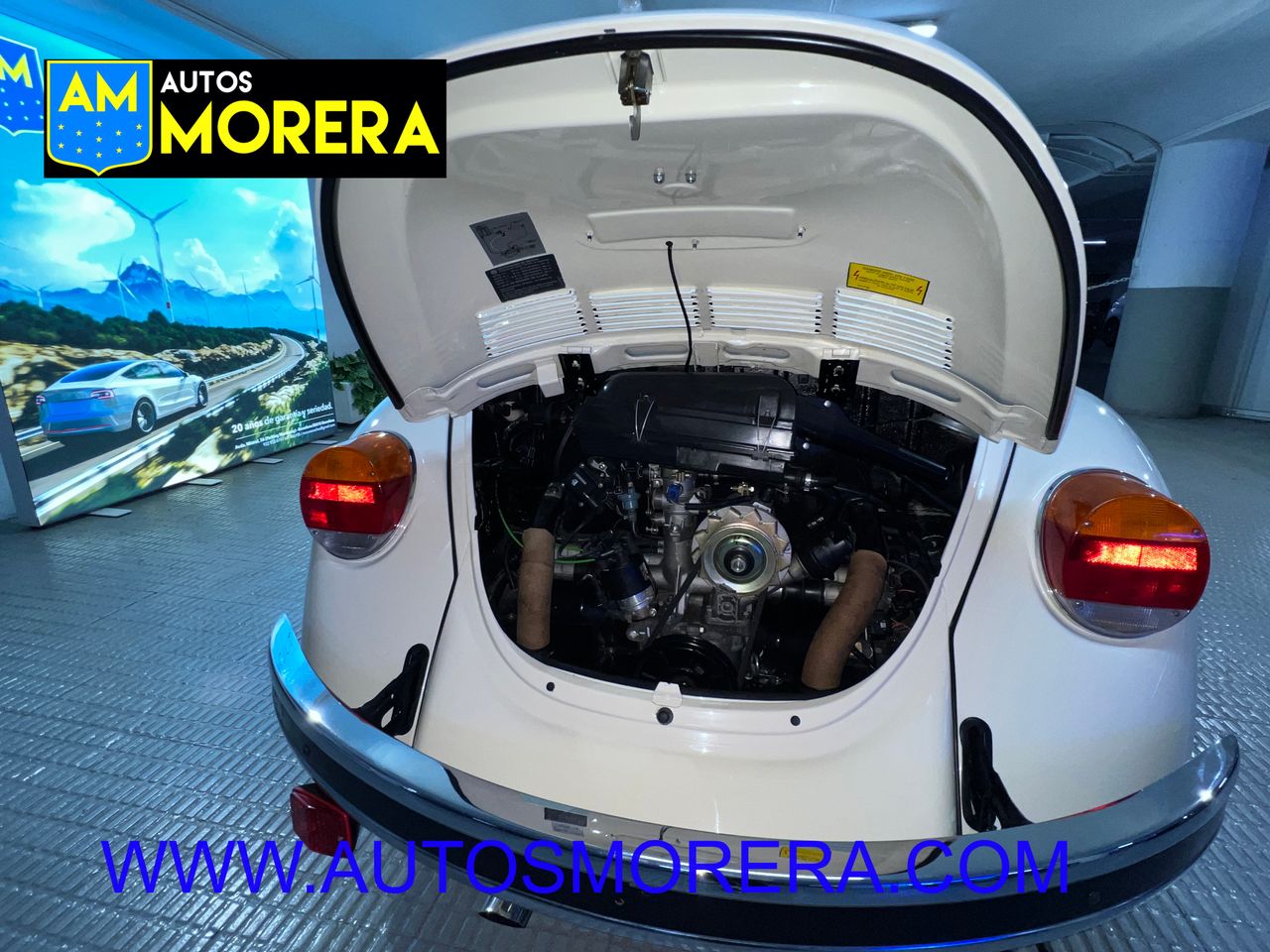 Foto Volkswagen Beetle 20