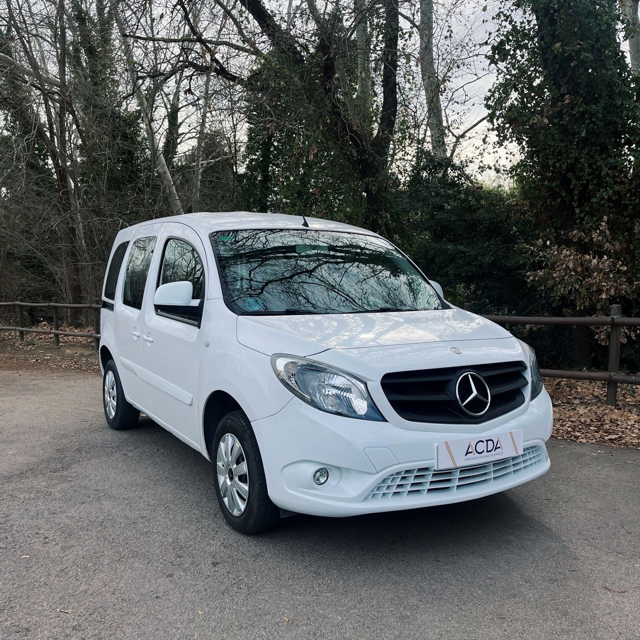 Foto Mercedes-Benz Citan 1