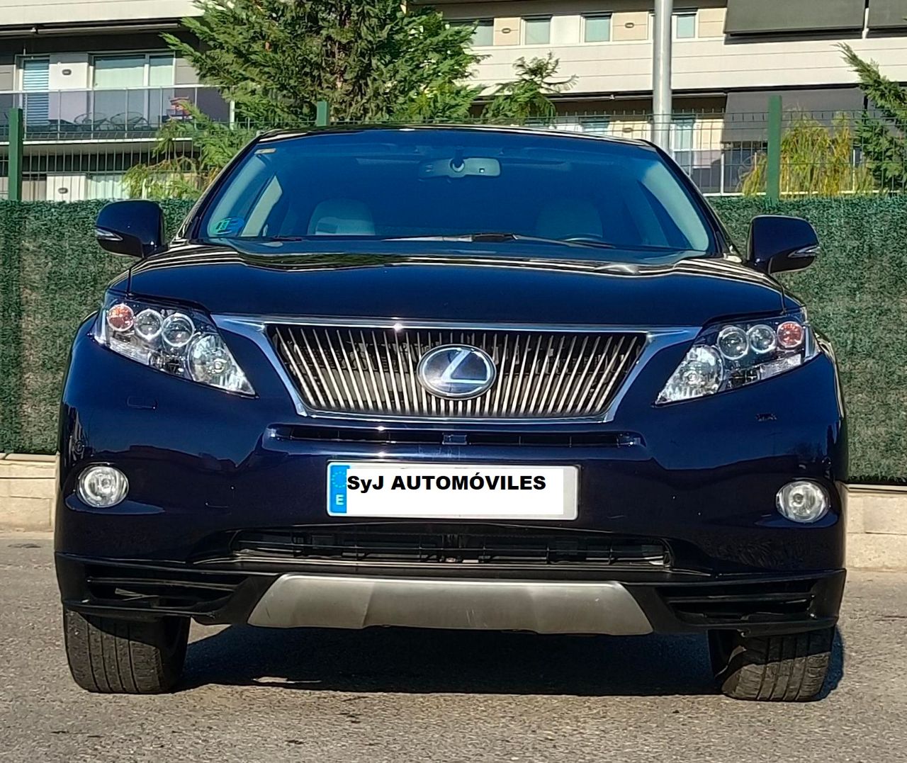 Foto Lexus RX 14